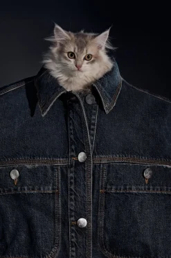 Closed Denim Shirt Dark blue Clearance