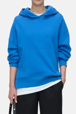 Closed Hoodie with logo Lake blue Discount